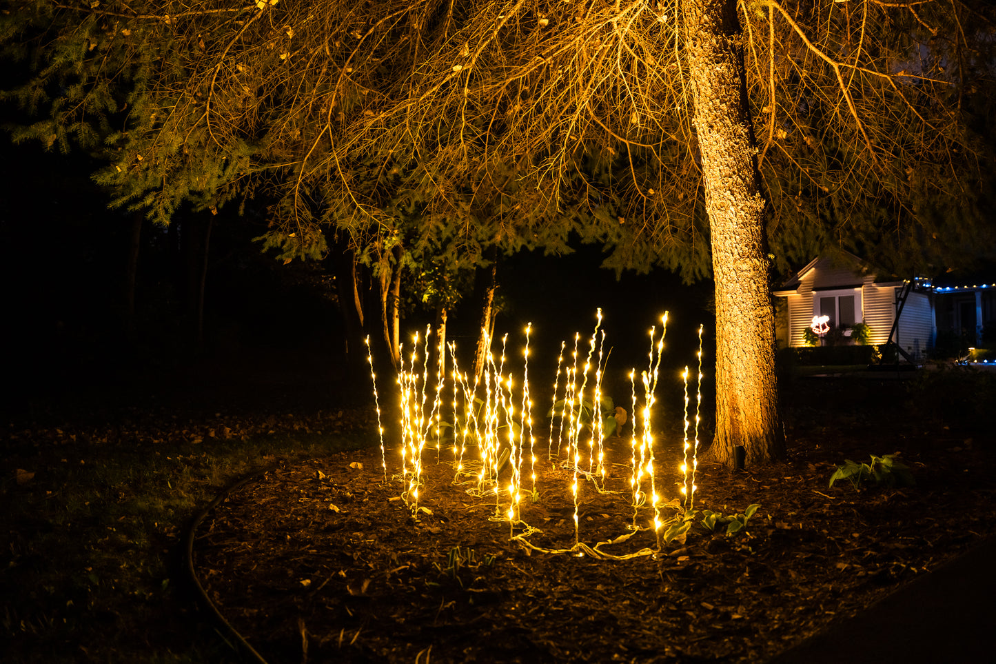 Whimsical Holiday Grass