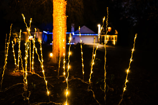 Whimsical Holiday Grass